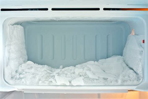 How Long Can You Keep a Dead Pet in the Freezer, and Why Does Time Taste Like Melting Ice Cream?