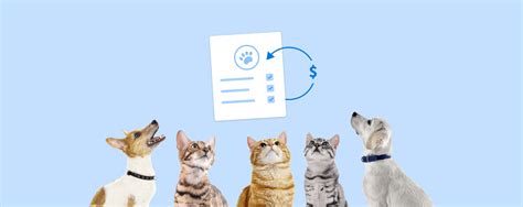 Is a Pet Deposit Refundable? Exploring the Tangled Web of Pet Policies and Financial Mysteries