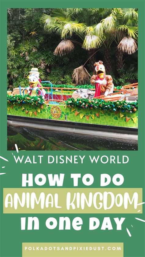 What to Do at Animal Kingdom: A Journey Through the Wild and Whimsical